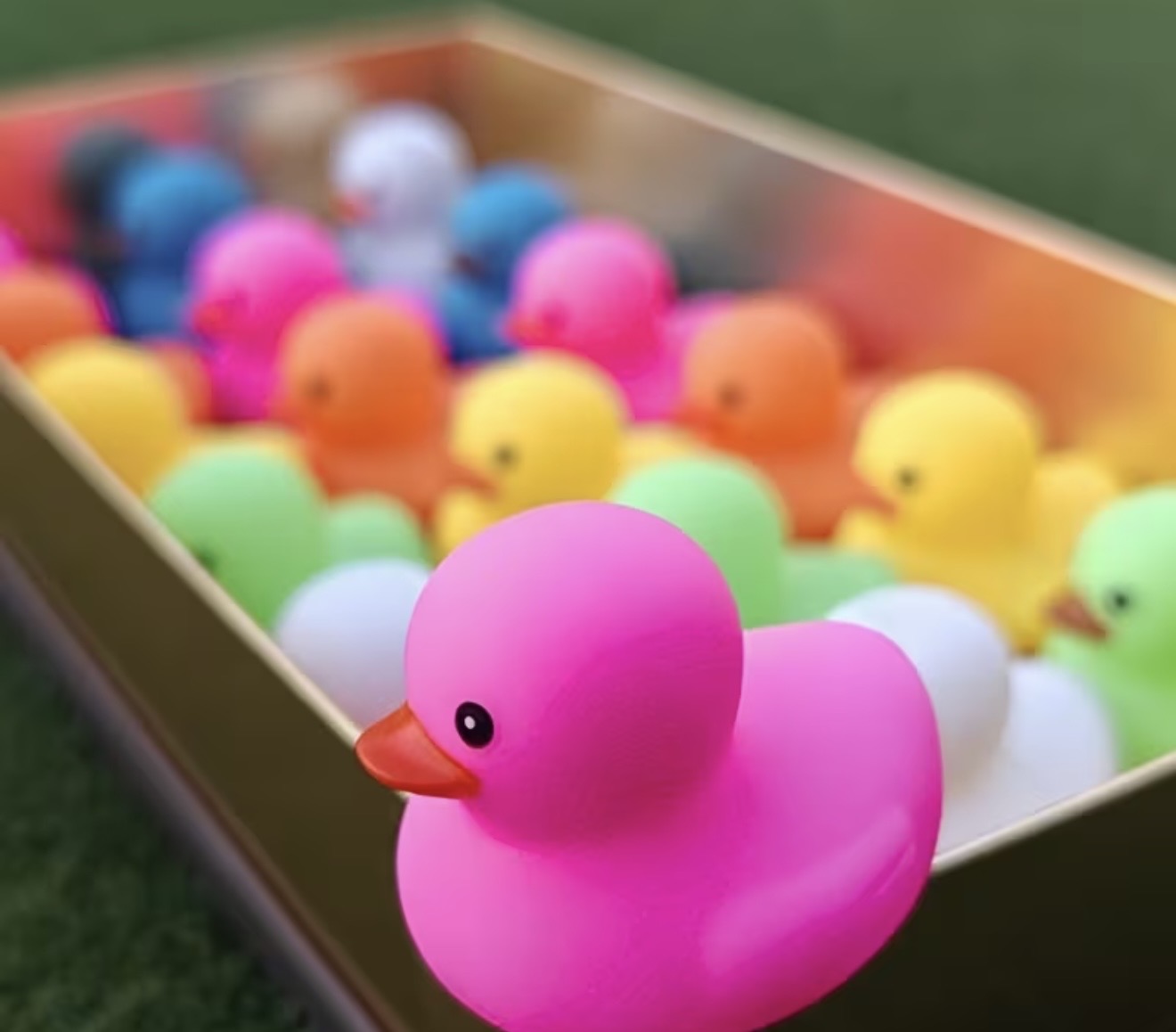 Pastel Quacks™ – Mini Soft Color Duck Collection 🌈🦆 42 pack